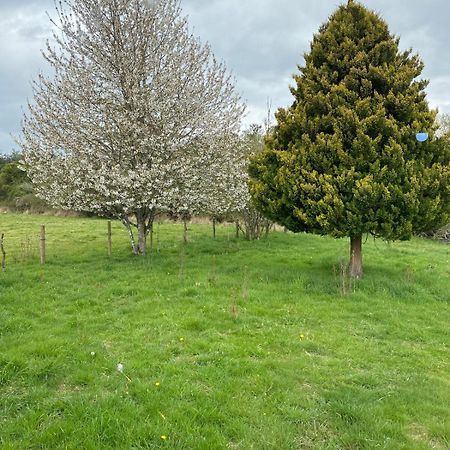 Campo, Tranquilidad, Relax Y Buenos Paisajes Vila Osorno Exterior foto