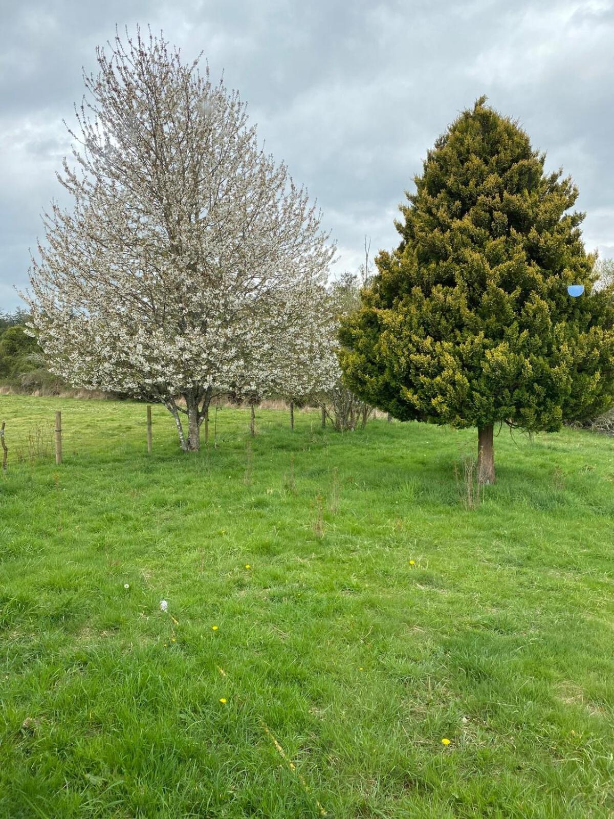 Campo, Tranquilidad, Relax Y Buenos Paisajes Vila Osorno Exterior foto